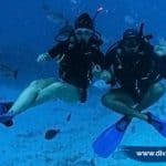 Tips para elegir una empresa de buceo - San Andrés, Islas