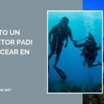 ★ ¿Necesito un instructor PADI para bucear en S.A.I.?