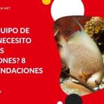 ★ Aprende a elegir el equipo de buceo adecuado para vacaciones