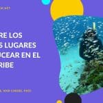 ★ 5 mejores lugares para bucear y sorprenderte en el Caribe