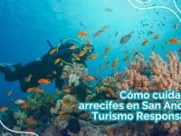 La importancia de conservar los corales: sé un turista responsable al bucear