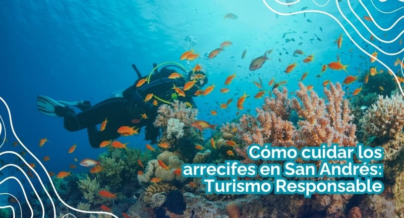 Cómo cuidar los arrecifes en San Andrés: Turismo Responsable
